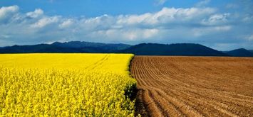 Чи продавати українську землю?