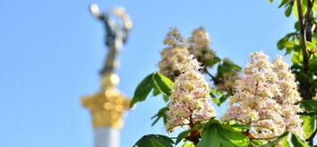 Квітучий символ Києва: як у столиці з’явилися перші каштани